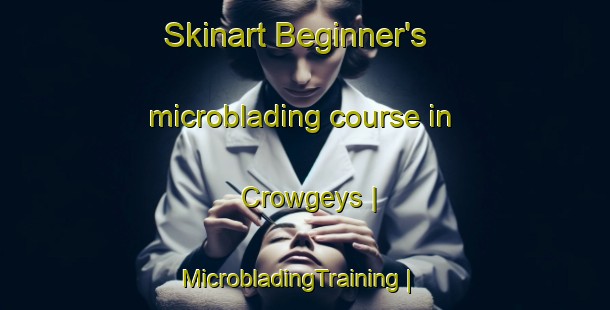 Skinart Beginner's microblading course in Crowgeys | MicrobladingTraining | MicrobladingClasses | SkinartTraining-United States
